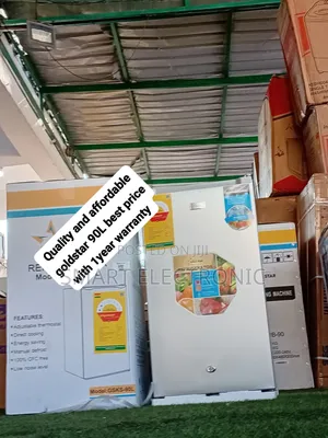 Modern Design Meets Functionality 90L Goldstar Refrigerator