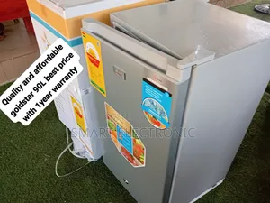 Ideal for Small Spaces: 90L Goldstar Refrigerator
