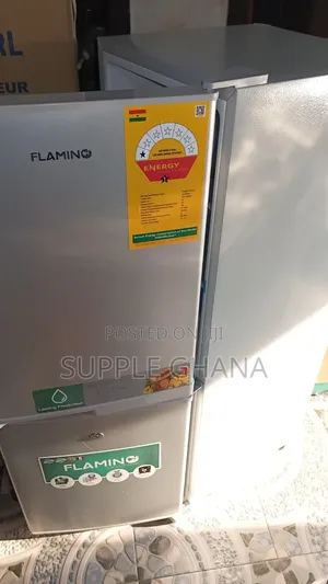 Energy Saving Refrigerator Flamino Fridge 165L