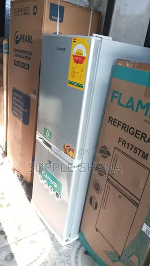 Good Opportunity Refrigerator Flamino Fridge 165L