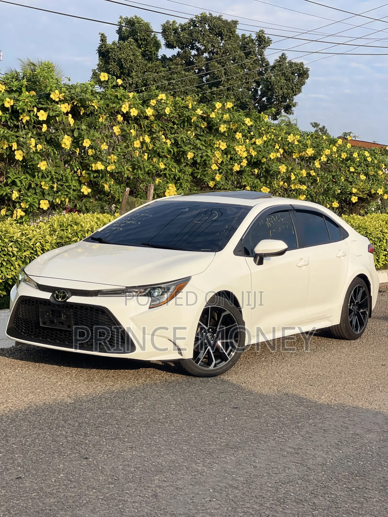 Toyota Corolla 2021 White