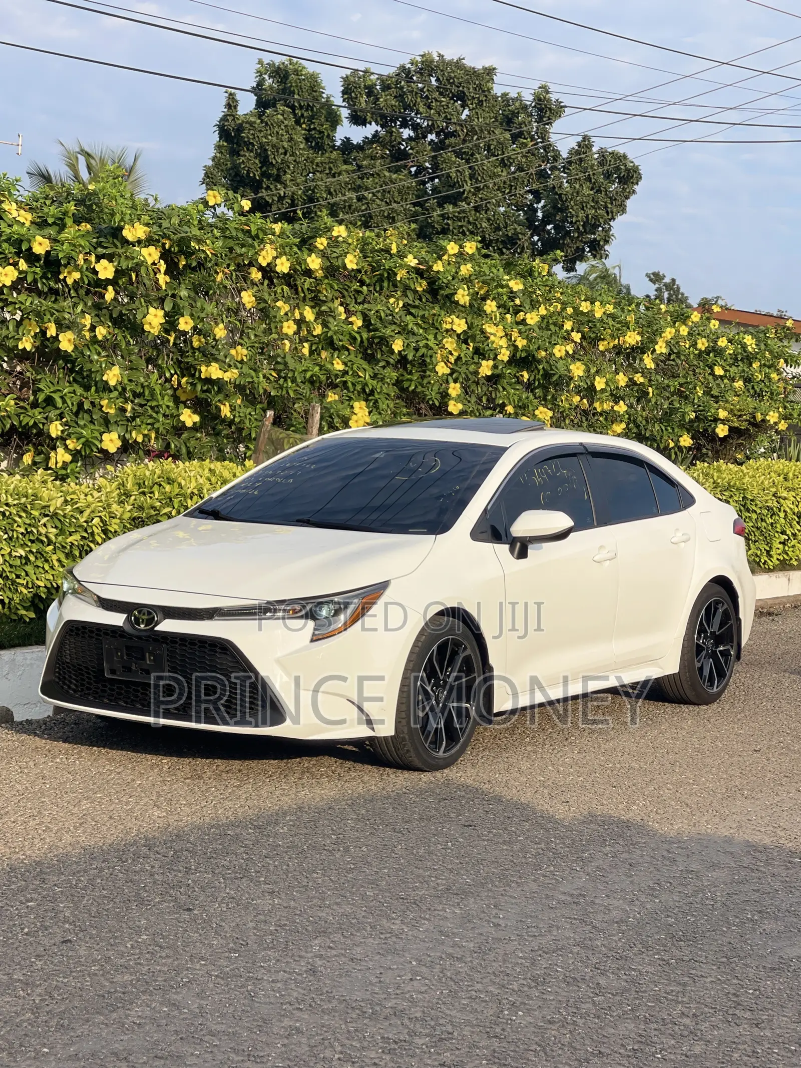 Toyota Corolla 2021 White