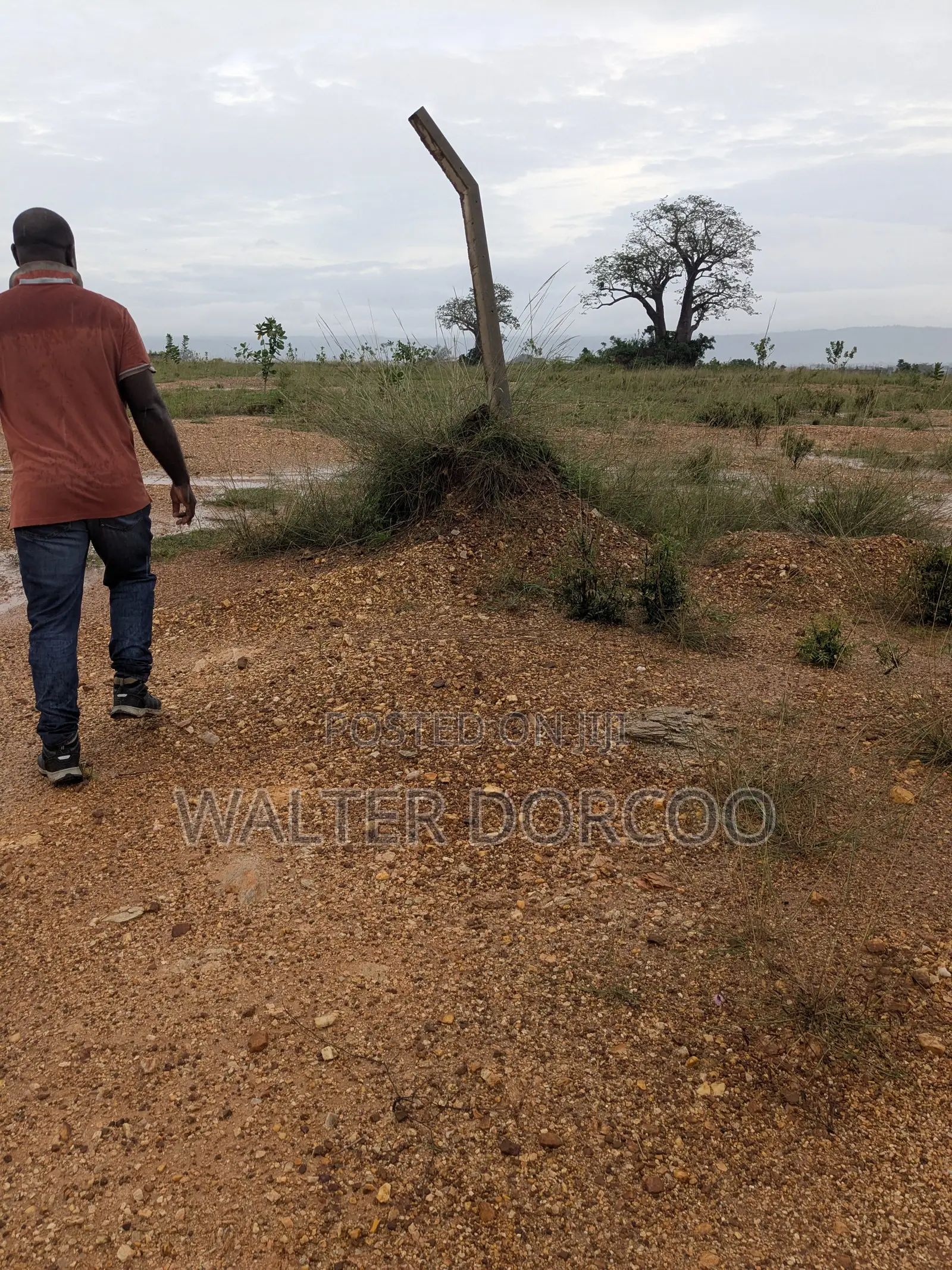 Registered Plot of Land