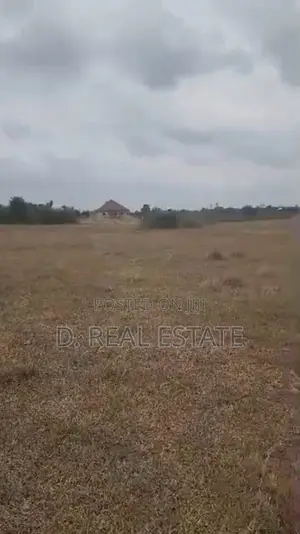 Demacated Plots of Land