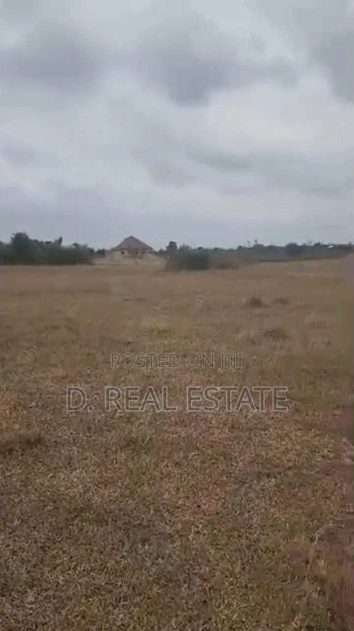 Demacated Plots of Land