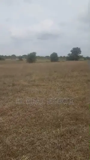 Demacated Plots of Land