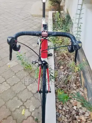 Very Neat Cube Peloton Roadbike Available for Sale