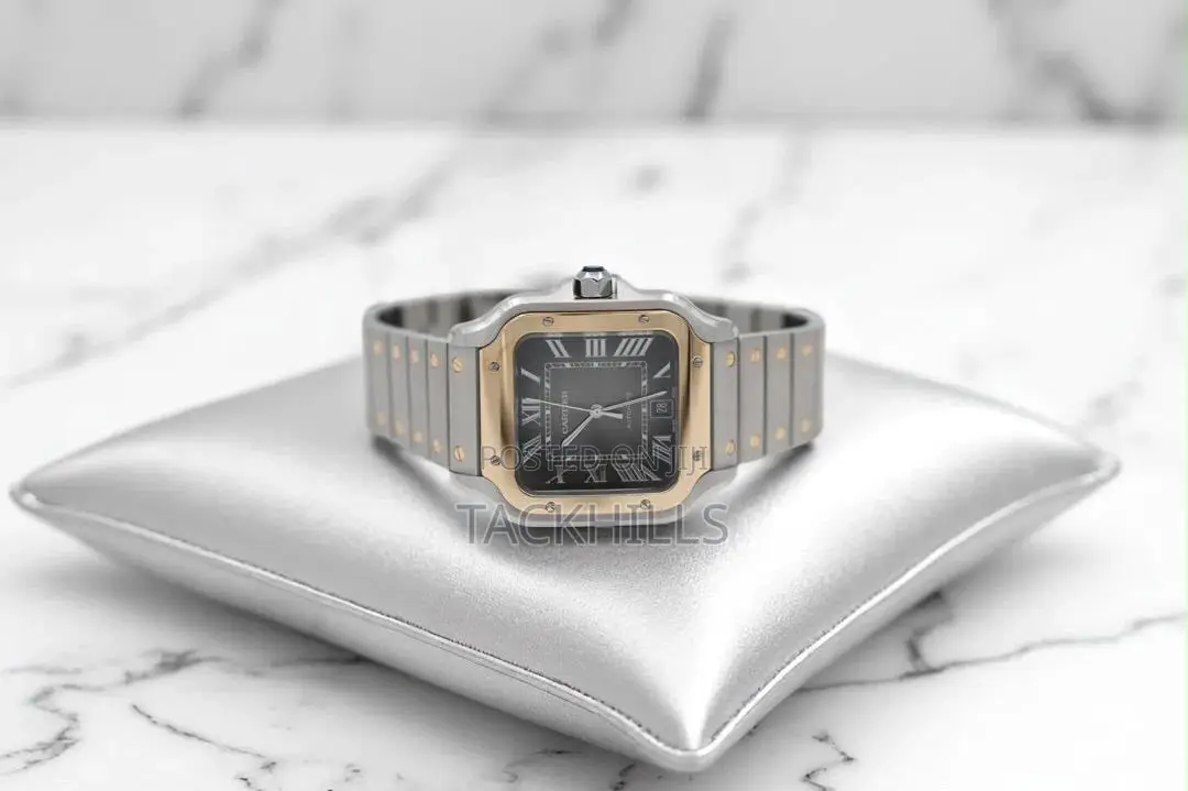 Cartier Watch Stainless