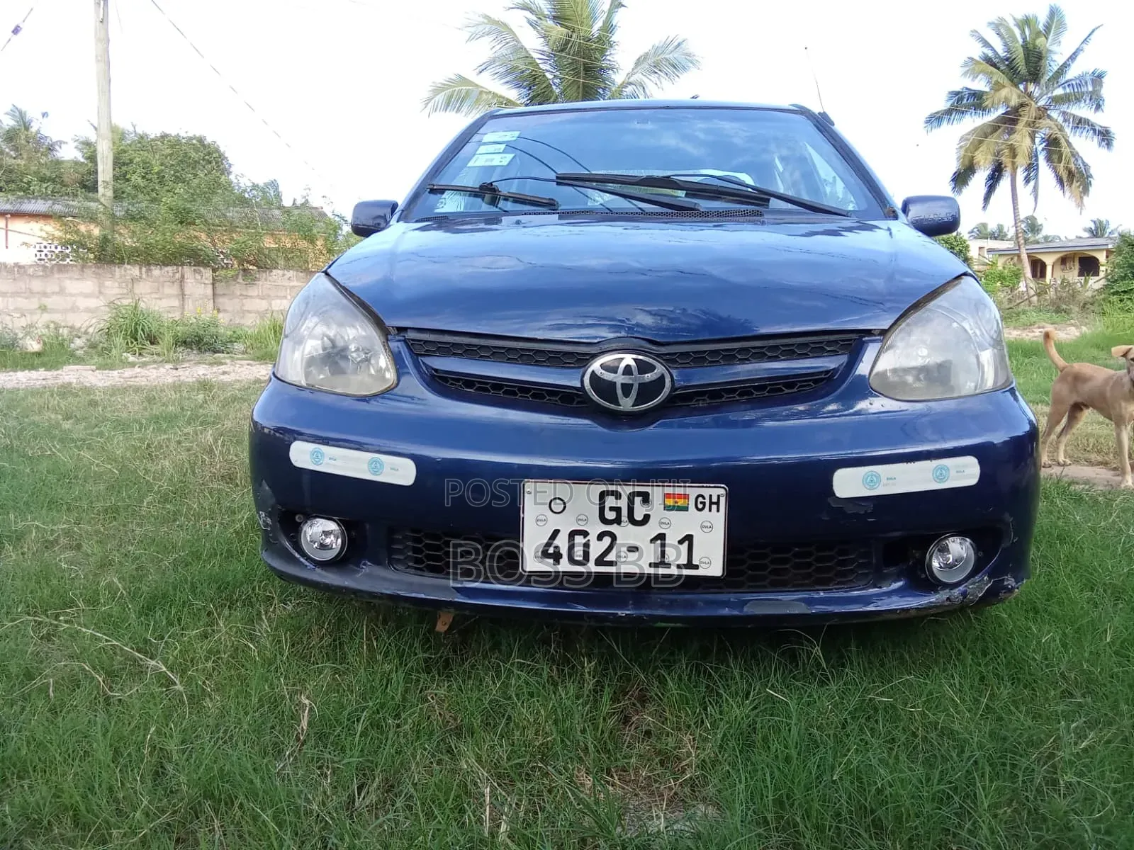 Toyota Echo Sedan 2005 Blue