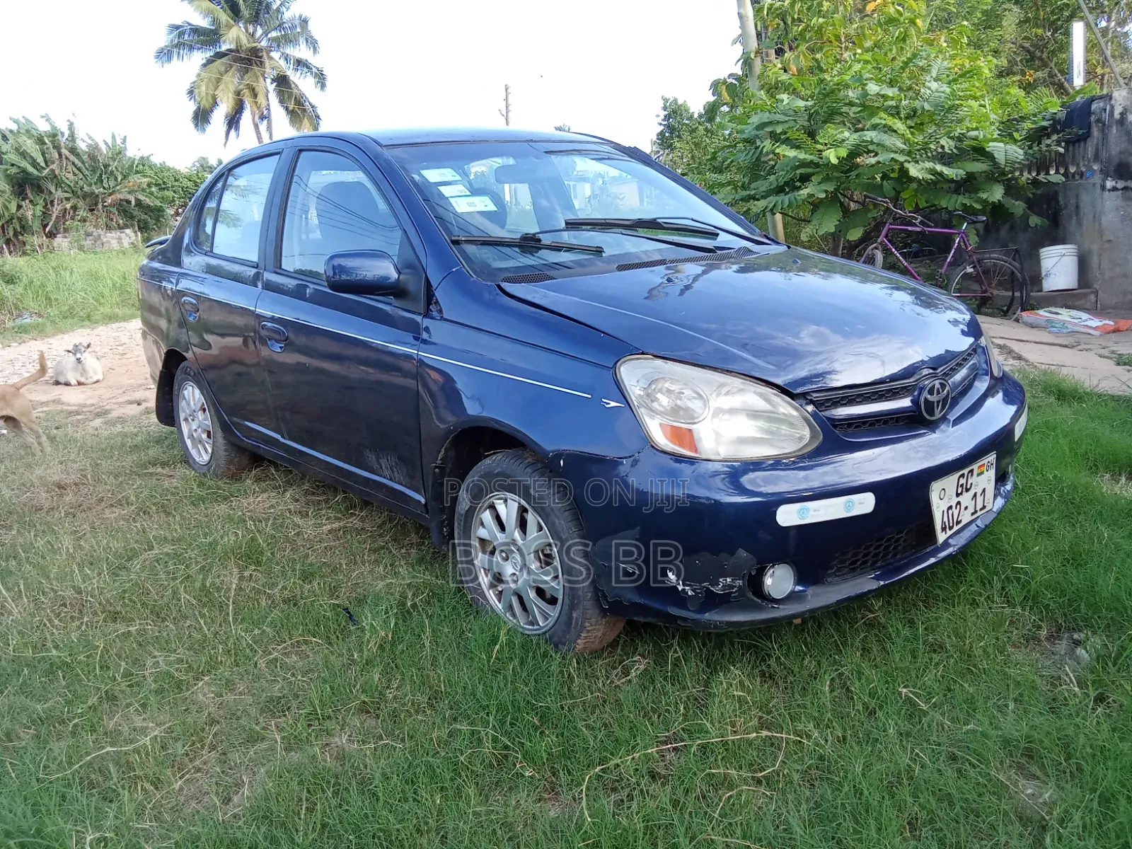 Toyota Echo Sedan 2005 Blue