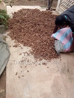 Fresh Local Ginger