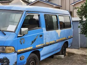 Hyundai H-100 1995 Blue