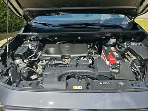 Toyota RAV4 XLE Premium AWD 2024 Gray