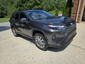 Toyota RAV4 XLE Premium AWD 2024 Gray