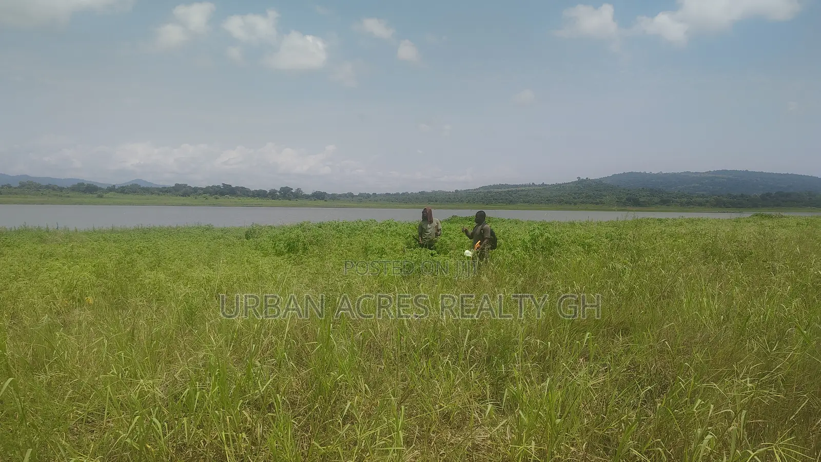 OTI REGION, (KRACHI) _ Rent.! 20,000+ Acres Irrigable Farmland