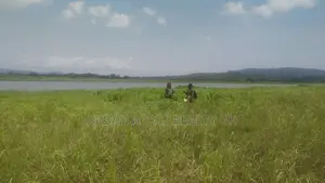 OTI REGION, (KRACHI) _ Rent.! 20,000+ Acres Irrigable Farmland