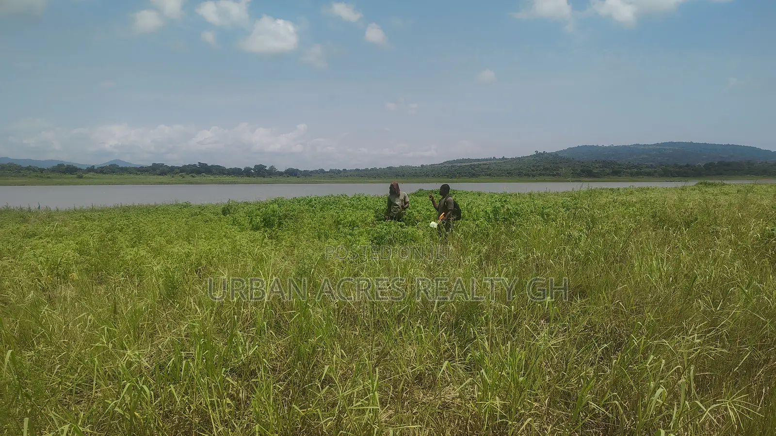 OTI REGION, (KRACHI) _ Rent.! 20,000+ Acres Irrigable Farmland