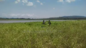 OTI REGION, (KRACHI) _ Rent.! 20,000+ Acres Irrigable Farmland