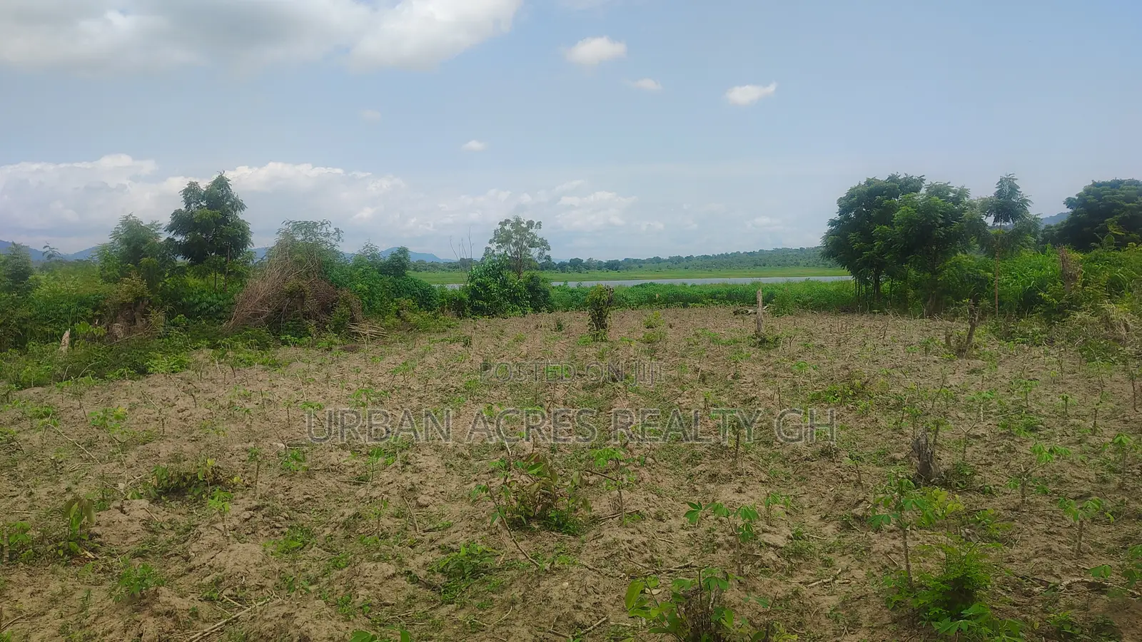 OTI REGION, (KRACHI) _ Rent.! 20,000+ Acres Irrigable Farmland