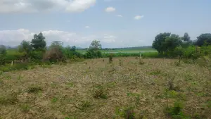 OTI REGION, (KRACHI) _ Rent.! 20,000+ Acres Irrigable Farmland