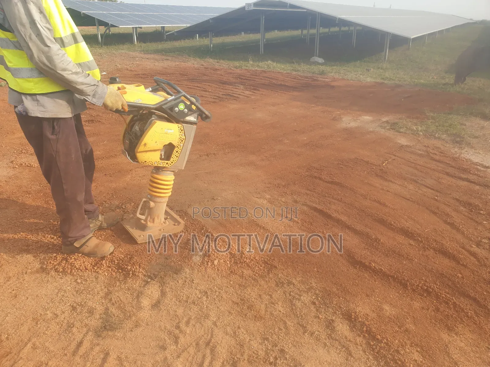 Bomag Bt60 Compactor for Sale