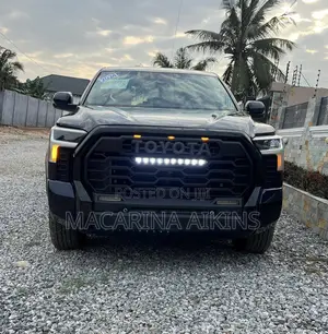 Toyota Tundra 2024 Blue