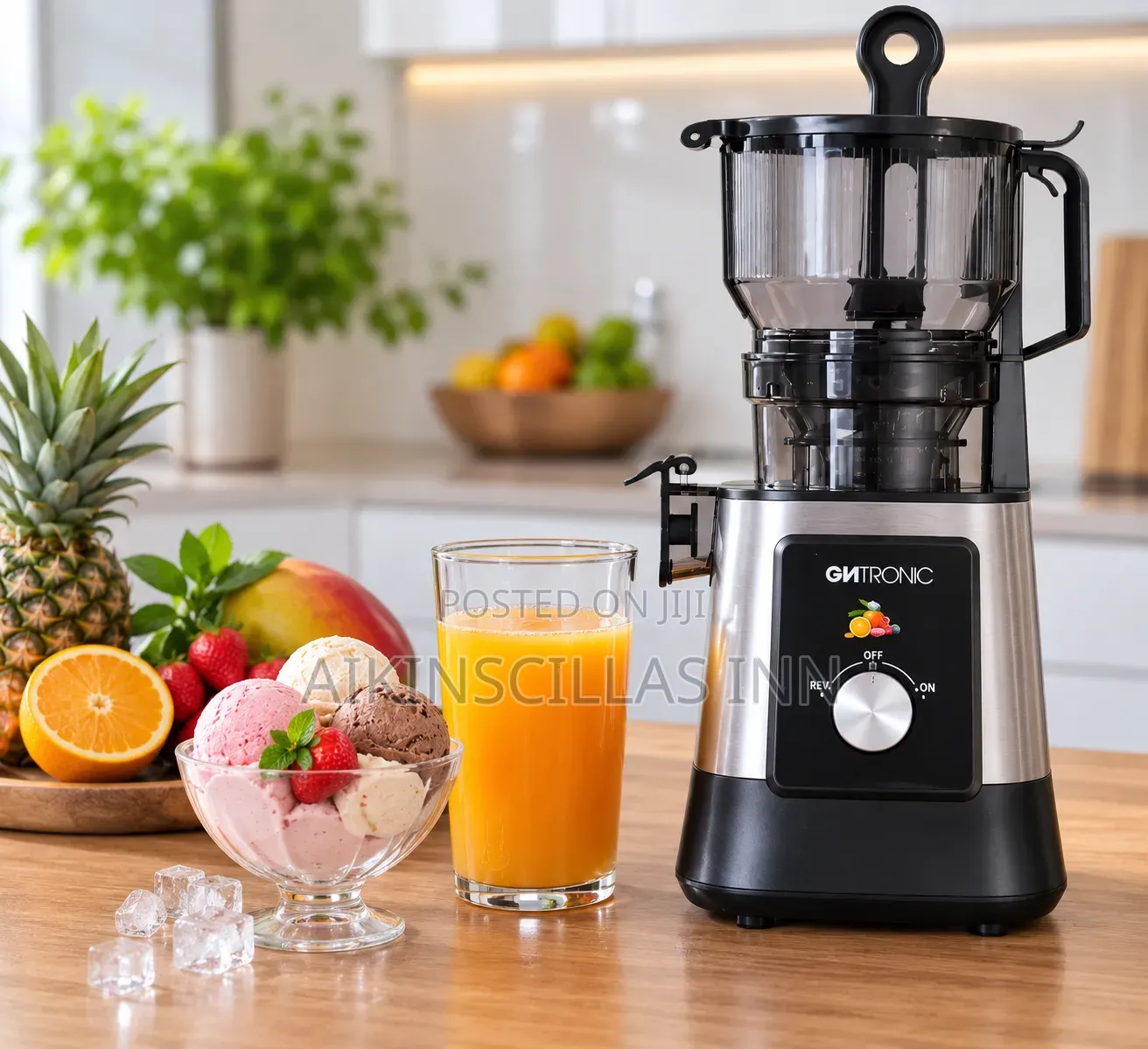 Cntronic Slow Juicer/Ice Cream Maker