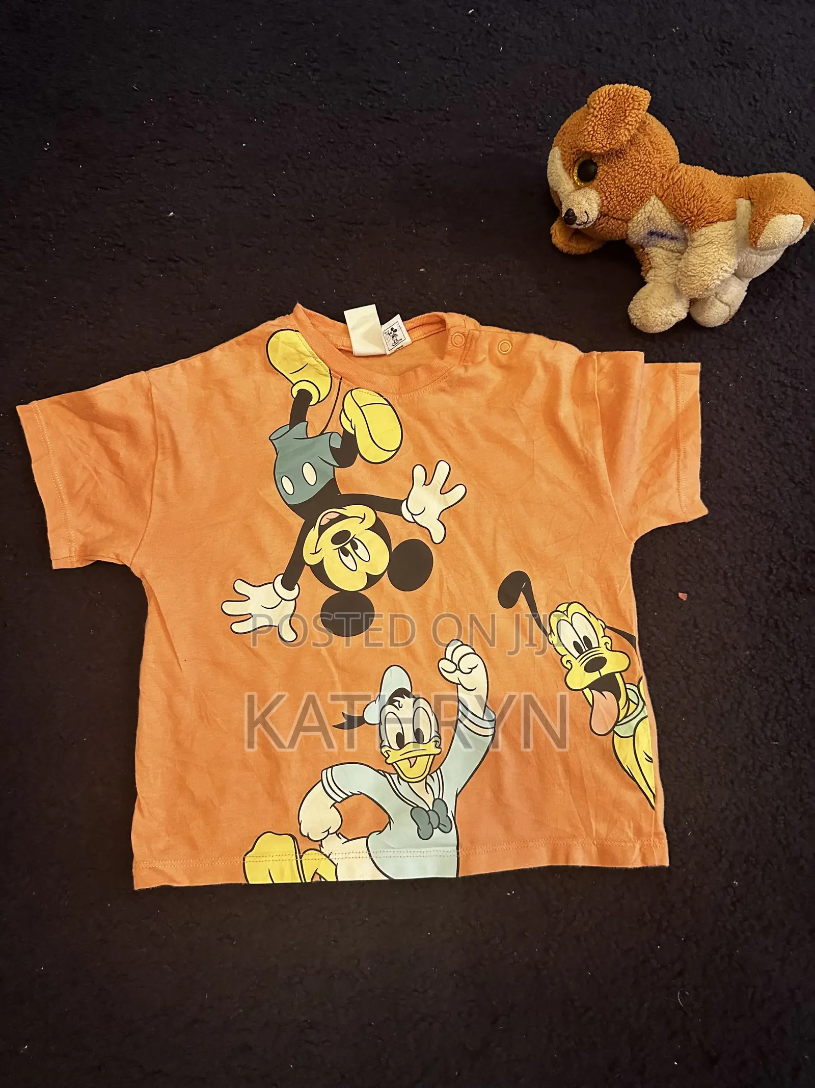 Mickey Mouse Lovers