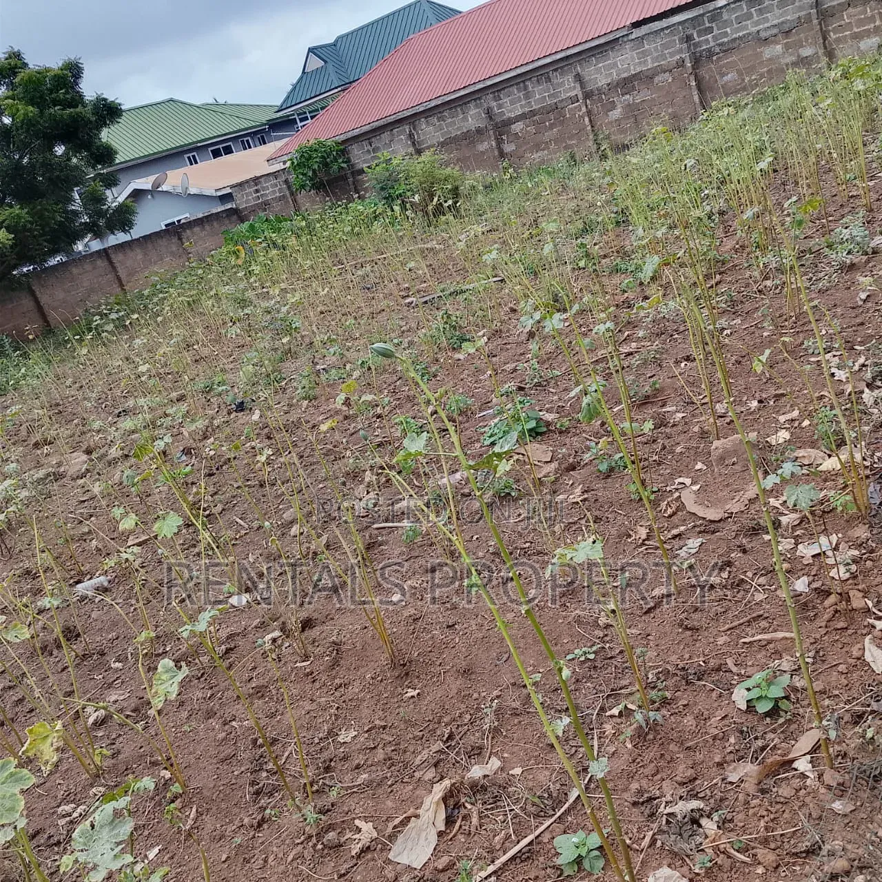 Land for Sall