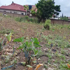 Land for Sall