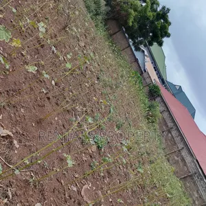Land for Sall