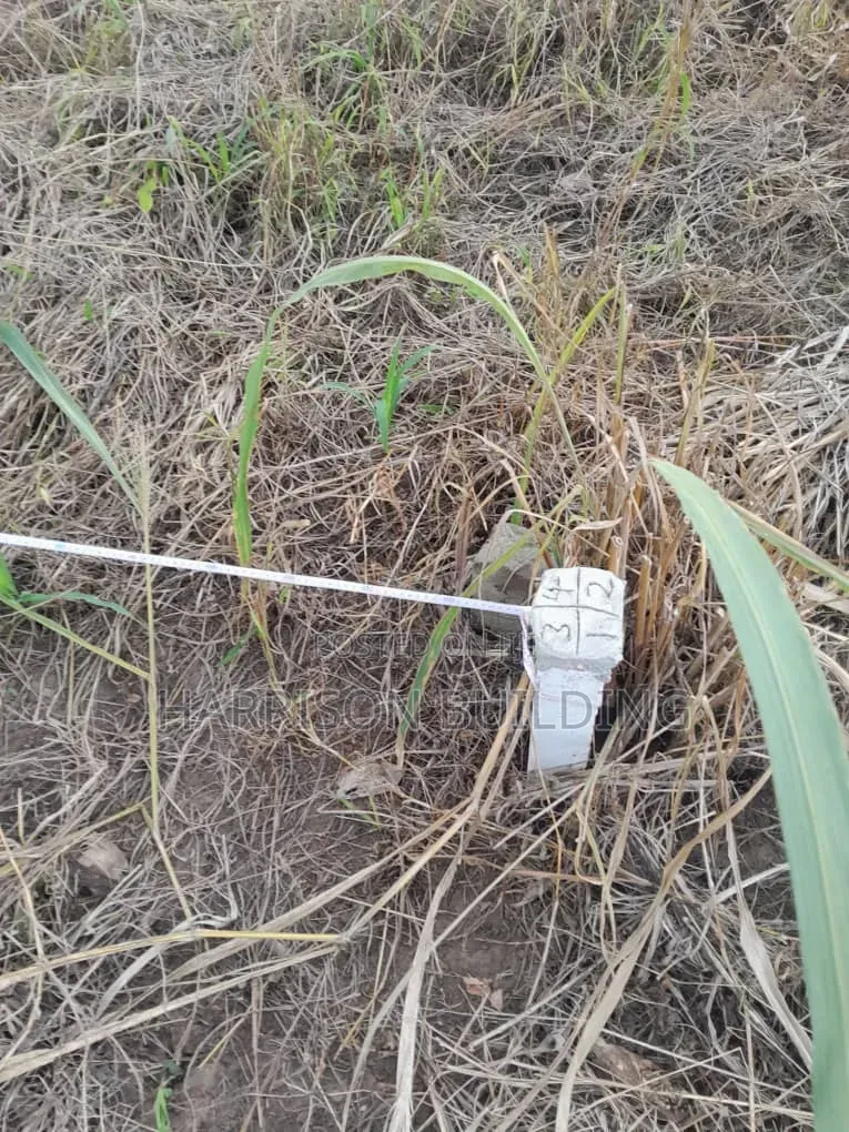 Installment Lands Forsale Up to 12 Months, Pay Whiles You Work