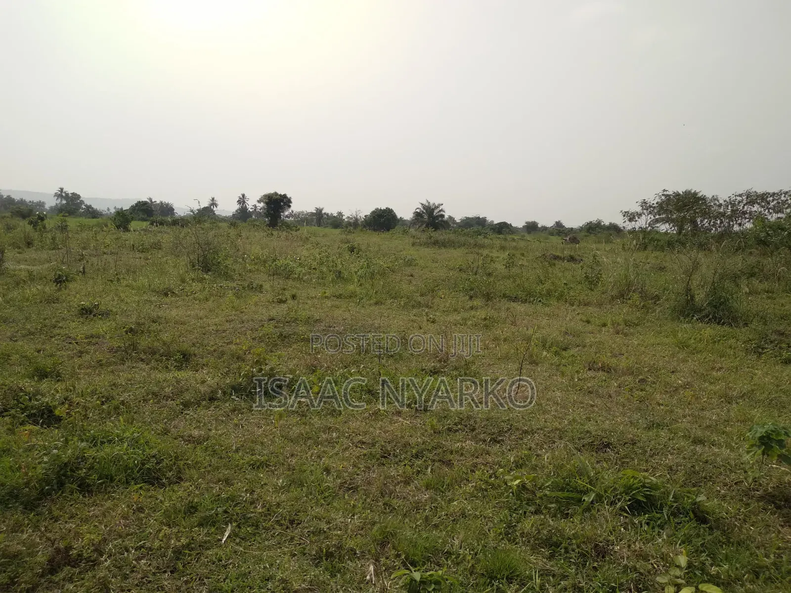 Litigation Free Property
