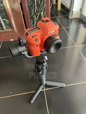 Gimbal -Ronin Sc