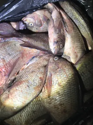 Mama Joy Fresh Tilapia