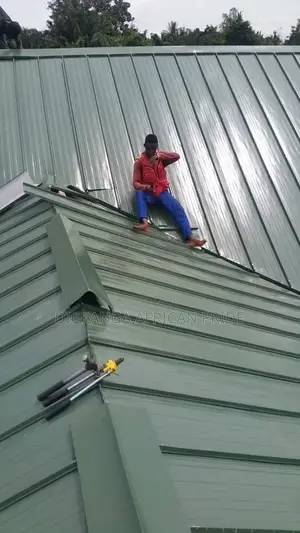 Dickanga, Your Roof Doctor