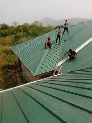 Dickanga, Your Roof Doctor