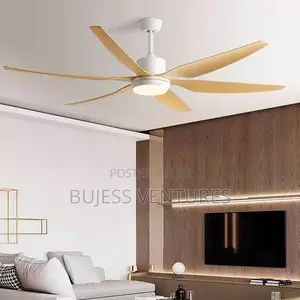 Art Ceiling Fan