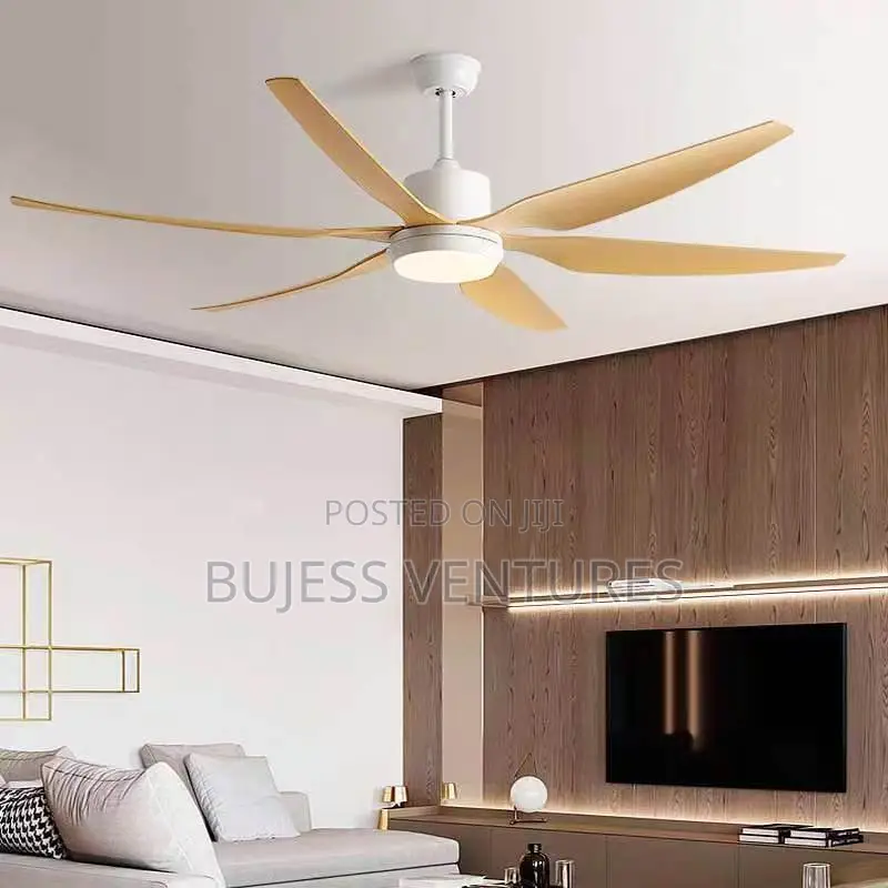 Art Ceiling Fan