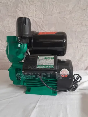 250w Self Priming Hot and Cold Water Pump