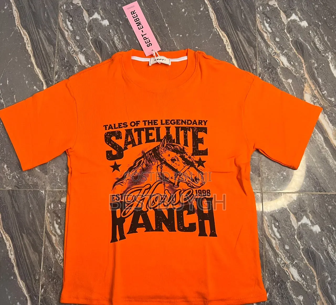 Unisex T-Shirts for Men Women | Affordable Quality T-Shirts