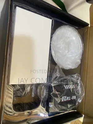 ZGRL-80 Palm COB Lights