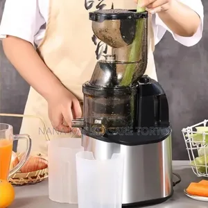 300W Quality Slow Juicer