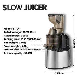 300W Quality Slow Juicer