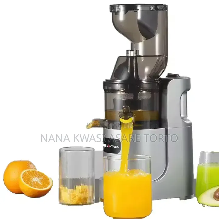300W Quality Slow Juicer
