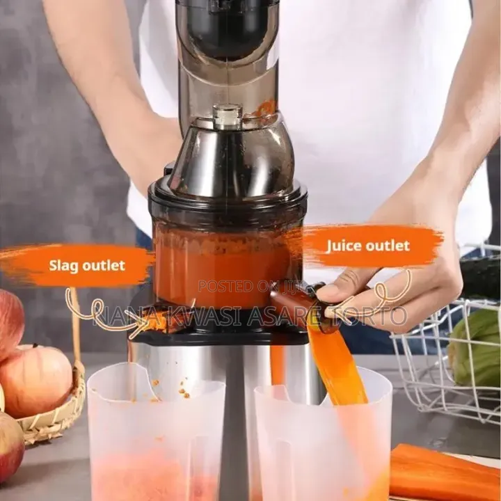 300W Quality Slow Juicer