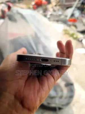 Apple iPhone 15 Pro Max 256 GB Silver