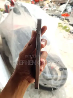 Apple iPhone 15 Pro Max 256 GB Silver