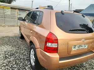 Hyundai Tucson 2005 Brown
