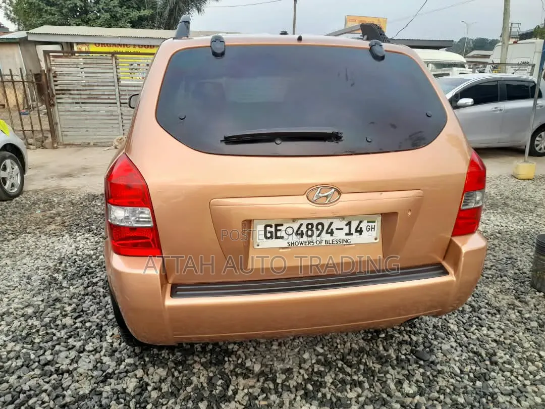 Hyundai Tucson 2005 Brown